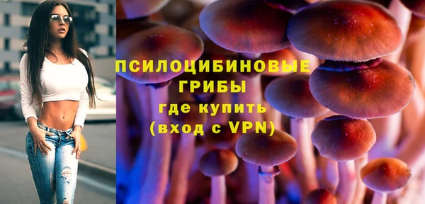мет Аркадак