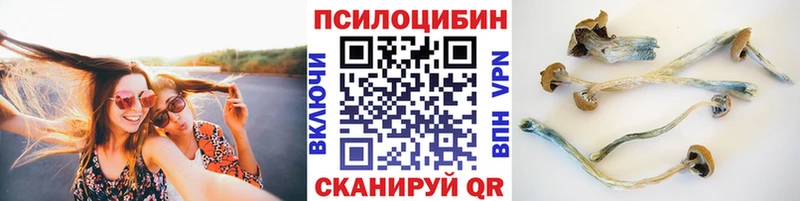 Галлюциногенные грибы Psilocybe Мончегорск