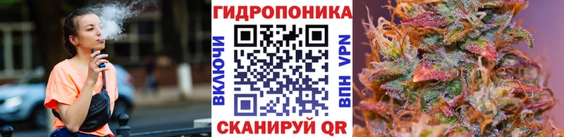Конопля планчик  Мончегорск 